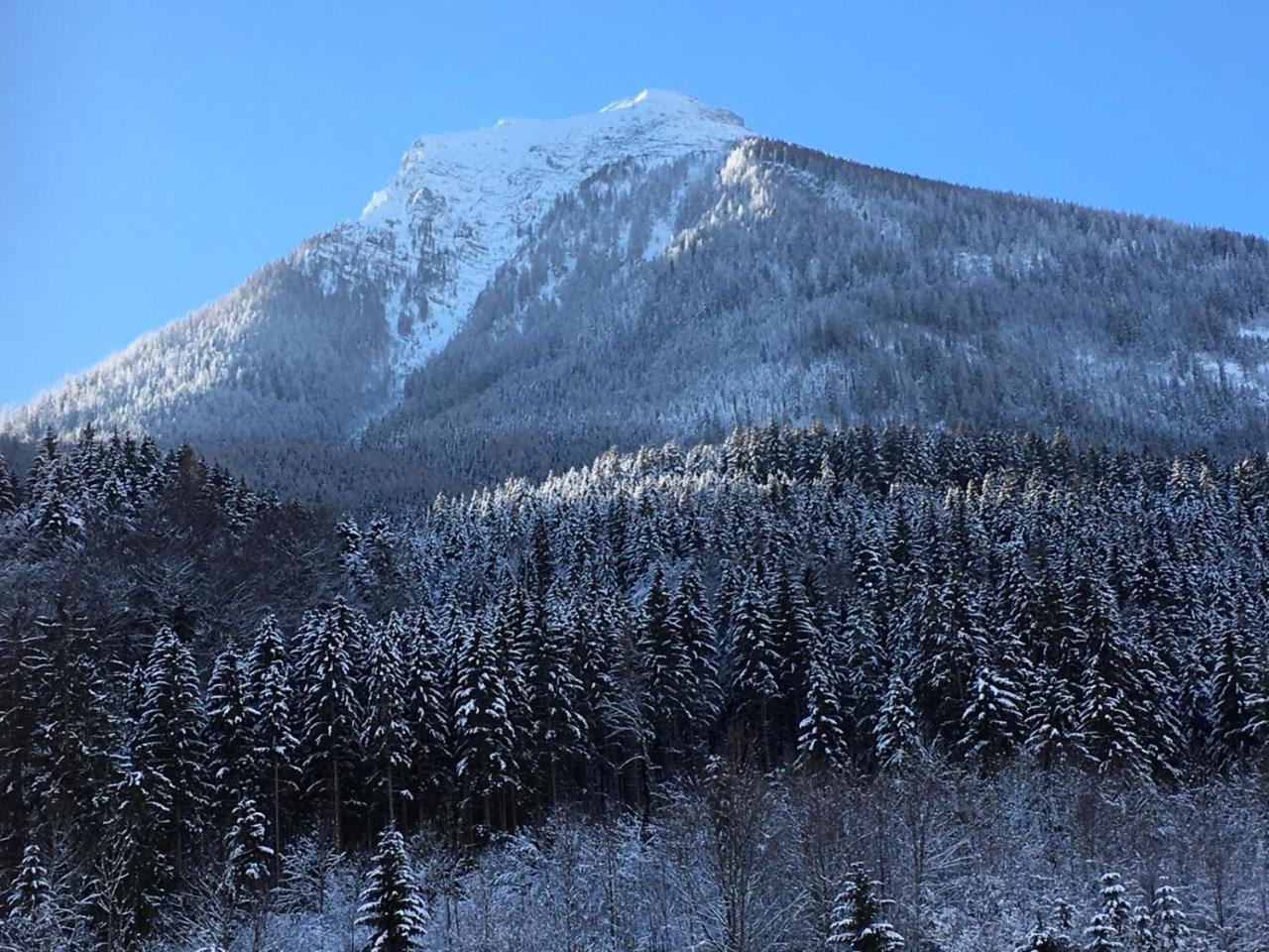 Gasthof Oberwirt Ramsau bei Berchtesgaden Ngoại thất bức ảnh